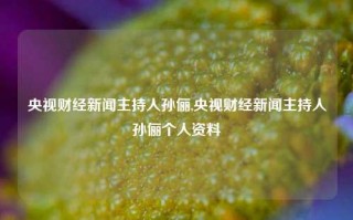 央视财经新闻主持人孙俪,央视财经新闻主持人孙俪个人资料