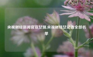 央视财经新闻官宣女婿,央视财经女记者全部名单