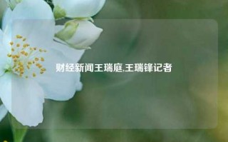 财经新闻王瑞庭,王瑞锋记者