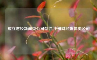 成立财经新闻类公司条件,注册财经媒体类公司