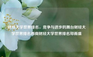 财经大学世界排名，竞争与进步的舞台财经大学世界排名西南财经大学世界排名郑雨盛