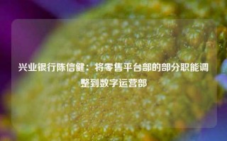 兴业银行陈信健：将零售平台部的部分职能调整到数字运营部