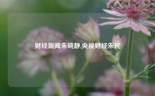 财经新闻朱晓静,央视财经朱民