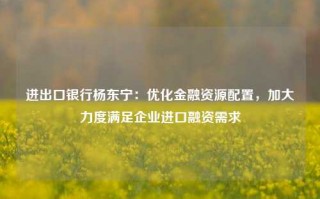 进出口银行杨东宁：优化金融资源配置，加大力度满足企业进口融资需求