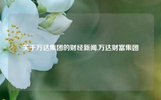 关于万达集团的财经新闻,万达财富集团