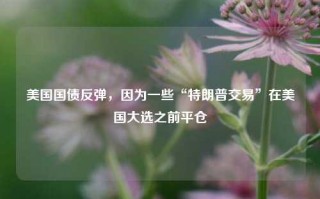 美国国债反弹，因为一些“特朗普交易”在美国大选之前平仓