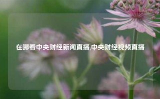 在哪看中央财经新闻直播,中央财经视频直播