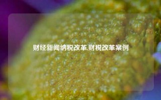 财经新闻纳税改革,财税改革案例