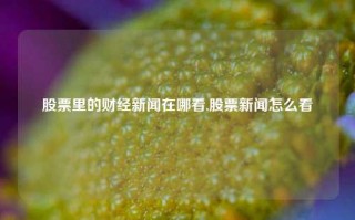 股票里的财经新闻在哪看,股票新闻怎么看