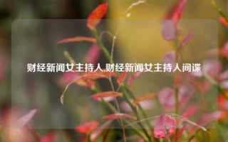 财经新闻女主持人,财经新闻女主持人间谍