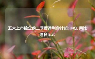 五大上市险企前三季度净利合计超3190亿 同比增长78.3%