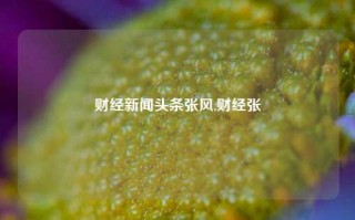 财经新闻头条张风,财经张湧