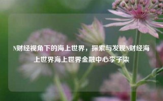 N财经视角下的海上世界，探索与发现N财经海上世界海上世界金融中心李子柒