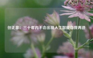 任正非：三十年内不会出现人工智能自我再造