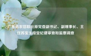 广东省农信联社原党委副书记、副理事长、主任苏宝玉接受纪律审查和监察调查