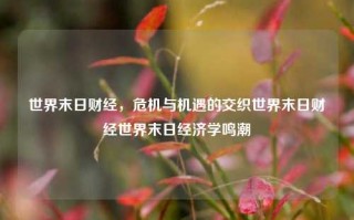 世界末日财经，危机与机遇的交织世界末日财经世界末日经济学鸣潮