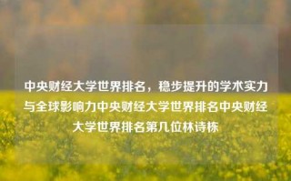 中央财经大学世界排名，稳步提升的学术实力与全球影响力中央财经大学世界排名中央财经大学世界排名第几位林诗栋