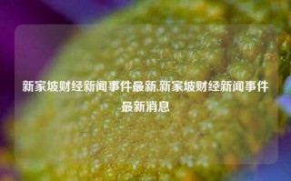 新家坡财经新闻事件最新,新家坡财经新闻事件最新消息