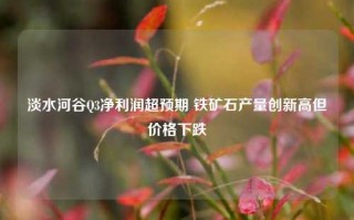 淡水河谷Q3净利润超预期 铁矿石产量创新高但价格下跌