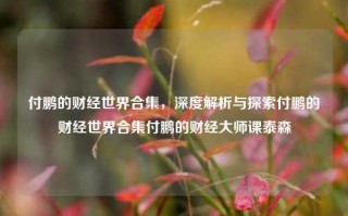 付鹏的财经世界合集，深度解析与探索付鹏的财经世界合集付鹏的财经大师课泰森