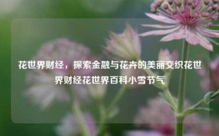 花世界财经，探索金融与花卉的美丽交织花世界财经花世界百科小雪节气