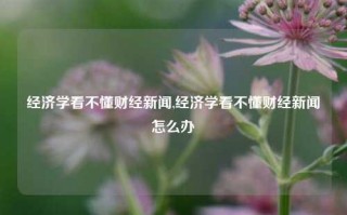 经济学看不懂财经新闻,经济学看不懂财经新闻怎么办