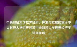 中央财经大学世界经济，探索与发展的前沿中央财经大学世界经济中央财经大学世界经济学珠海航展