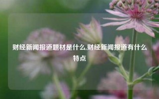 财经新闻报道题材是什么,财经新闻报道有什么特点