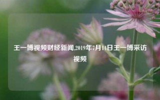 王一博视频财经新闻,2019年7月14日王一博采访视频