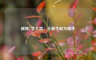 视频|李大霄：从疯牛转为慢牛