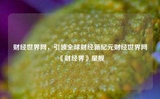 财经世界网，引领全球财经新纪元财经世界网《财经界》星舰