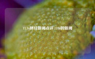 11.16财经新闻点评,1116的新闻