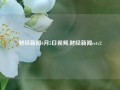 财经新闻6月5日视频,财经新闻cctv2