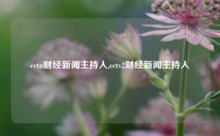 cctn财经新闻主持人,cctv2财经新闻主持人