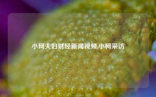 小珂夫妇财经新闻视频,小柯采访