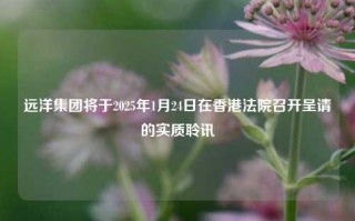 远洋集团将于2025年1月24日在香港法院召开呈请的实质聆讯