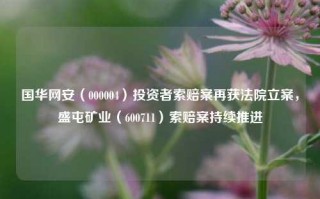 国华网安（000004）投资者索赔案再获法院立案，盛屯矿业（600711）索赔案持续推进