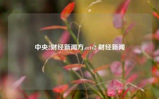 中央2财经新闻方,cctv2 财经新闻