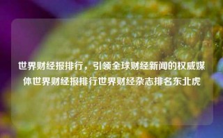 世界财经报排行，引领全球财经新闻的权威媒体世界财经报排行世界财经杂志排名东北虎