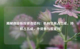 揭秘创业板投资者结构：机构交易占三成，持股占五成，外资参与度提升