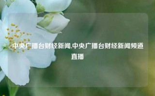 中央广播台财经新闻,中央广播台财经新闻频道直播