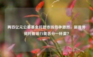 两百亿元公募基金托管市场竞争激烈，新晋外资托管银行能否分一杯羹？