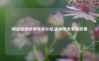 财经新闻退休养老补贴,退休养老补贴政策