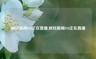 财经新闻818正在直播,财经新闻818正在直播