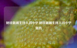 财经新闻主持人闫小宁,财经新闻主持人闫小宁简历