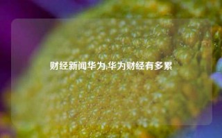 财经新闻华为,华为财经有多累