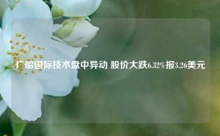 广船国际技术盘中异动 股价大跌6.32%报3.26美元