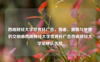 西南财经大学世界杯广告，青春、激情与梦想的交响曲西南财经大学世界杯广告西南财经大学足球队优酷