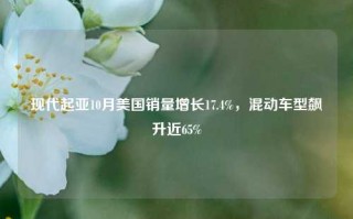 现代起亚10月美国销量增长17.4%，混动车型飙升近65%