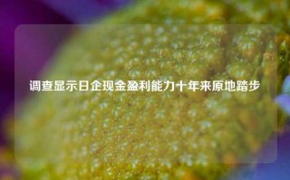 调查显示日企现金盈利能力十年来原地踏步